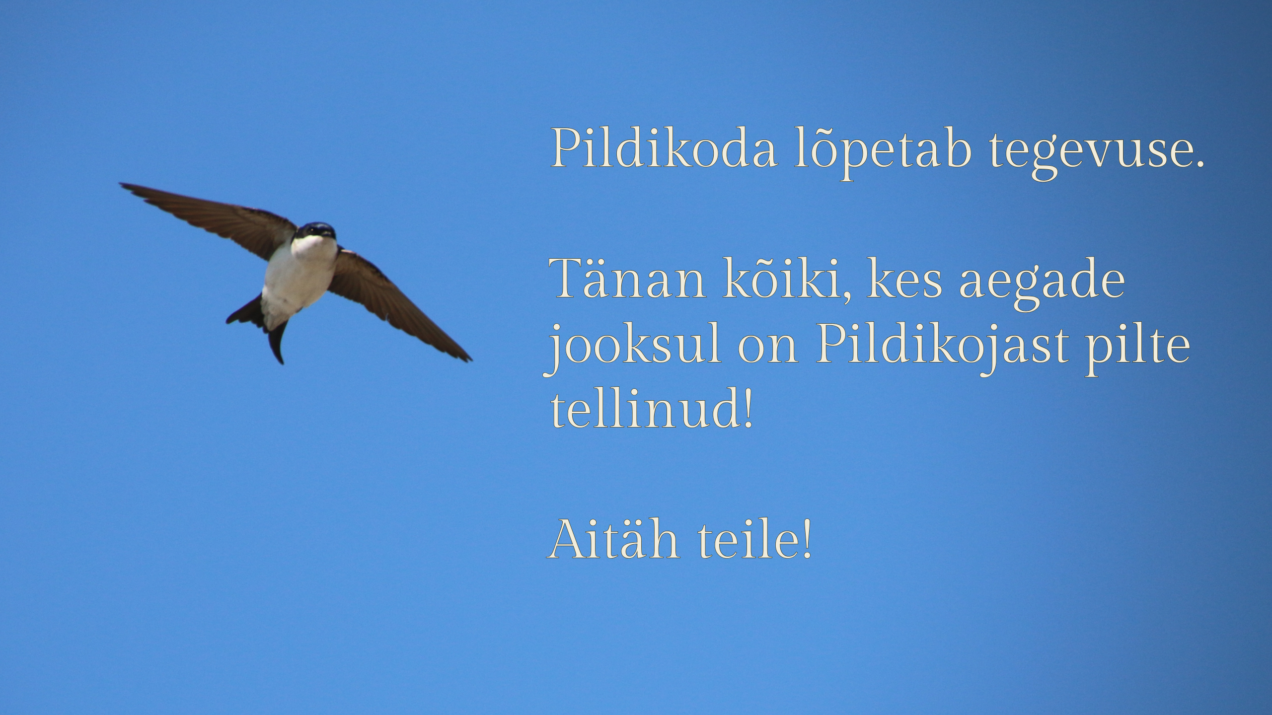 Pildikoda l&otildepetab;